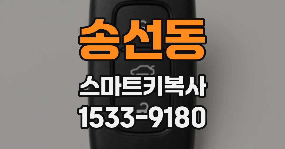 송선동 스마트키복사