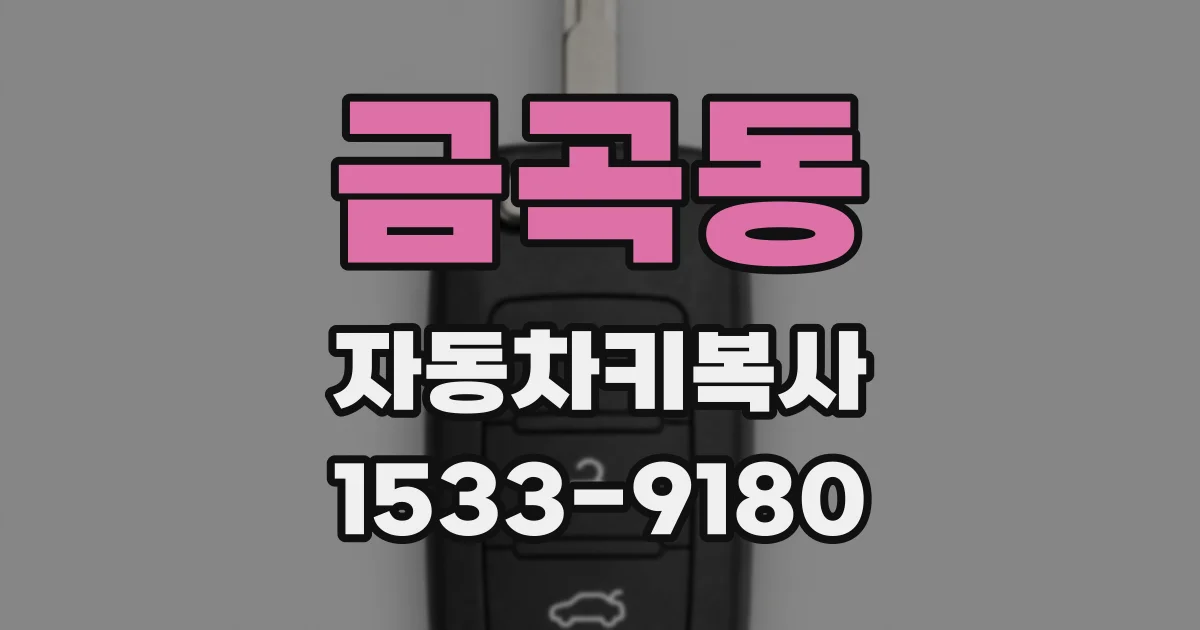 금곡동 자동차키복사