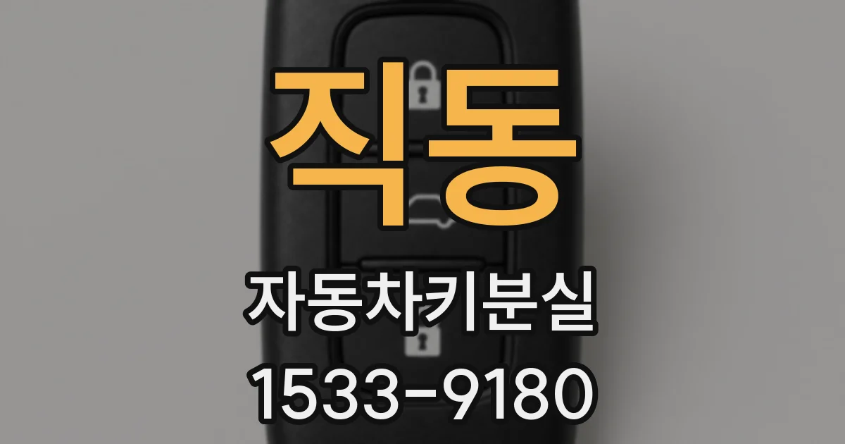 직동 자동차키분실