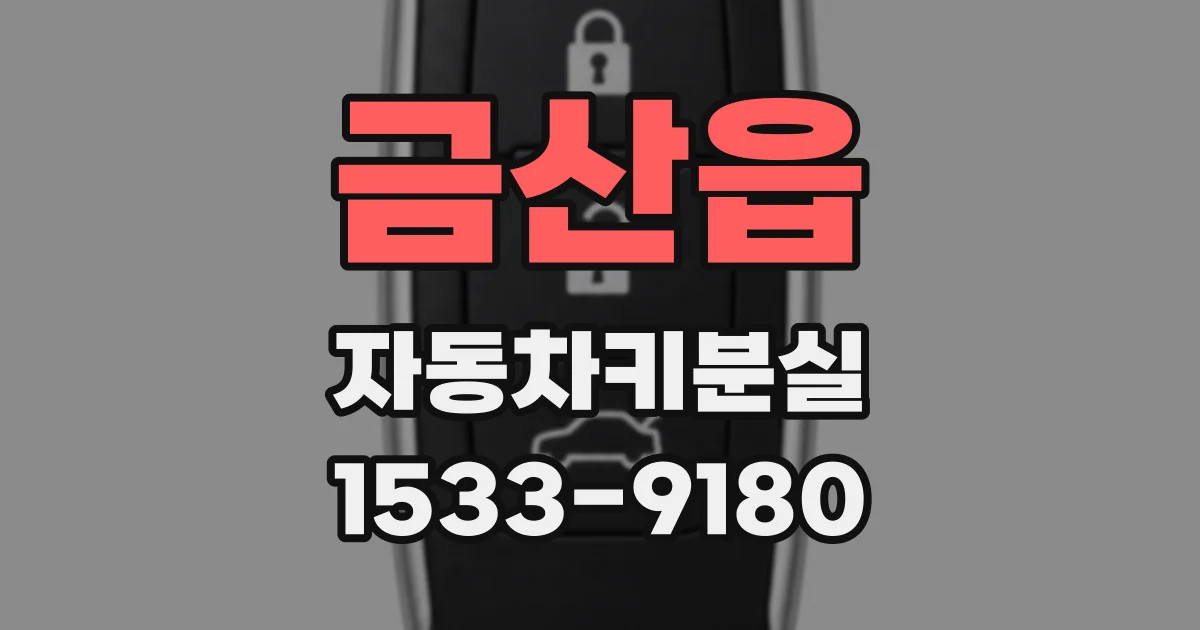 금산읍 자동차키분실