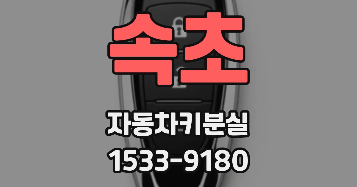 속초 자동차키분실