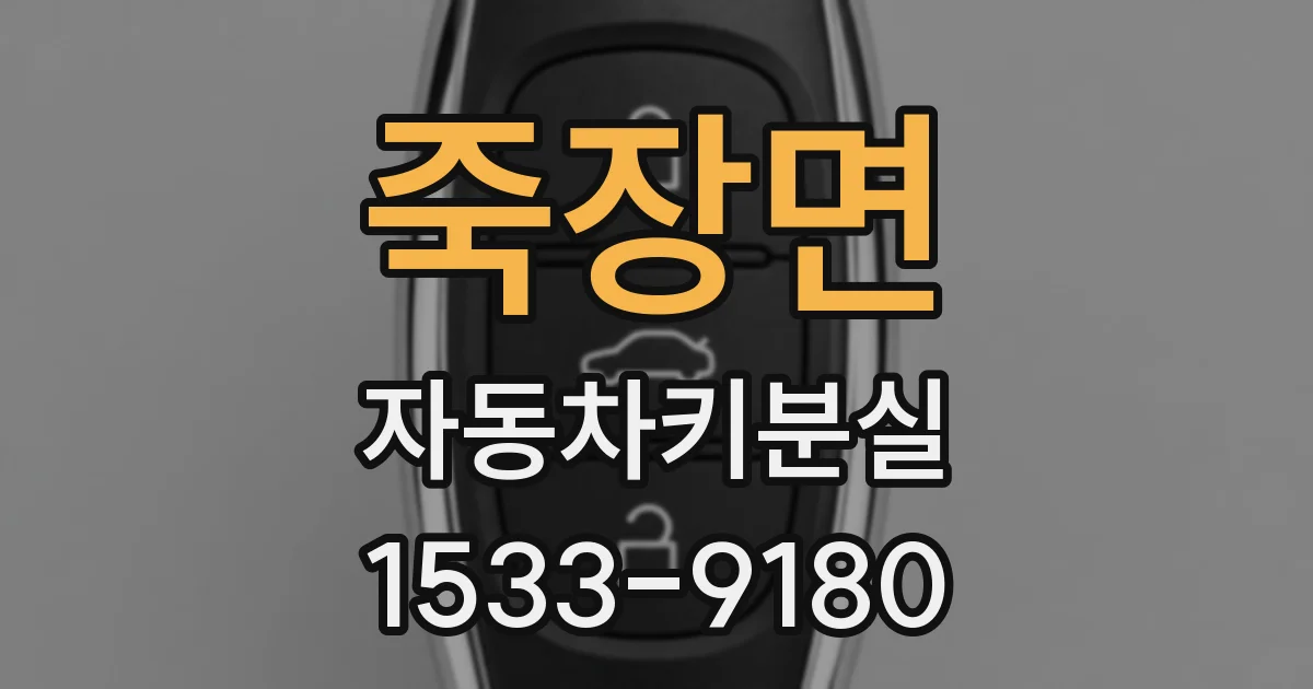 죽장면 자동차키분실