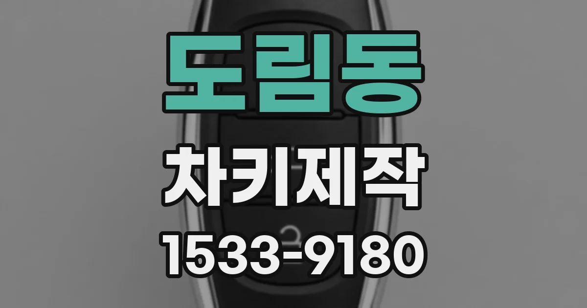 도림동 차키제작
