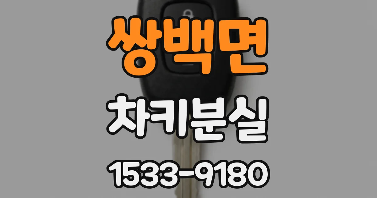 쌍백면 차키분실