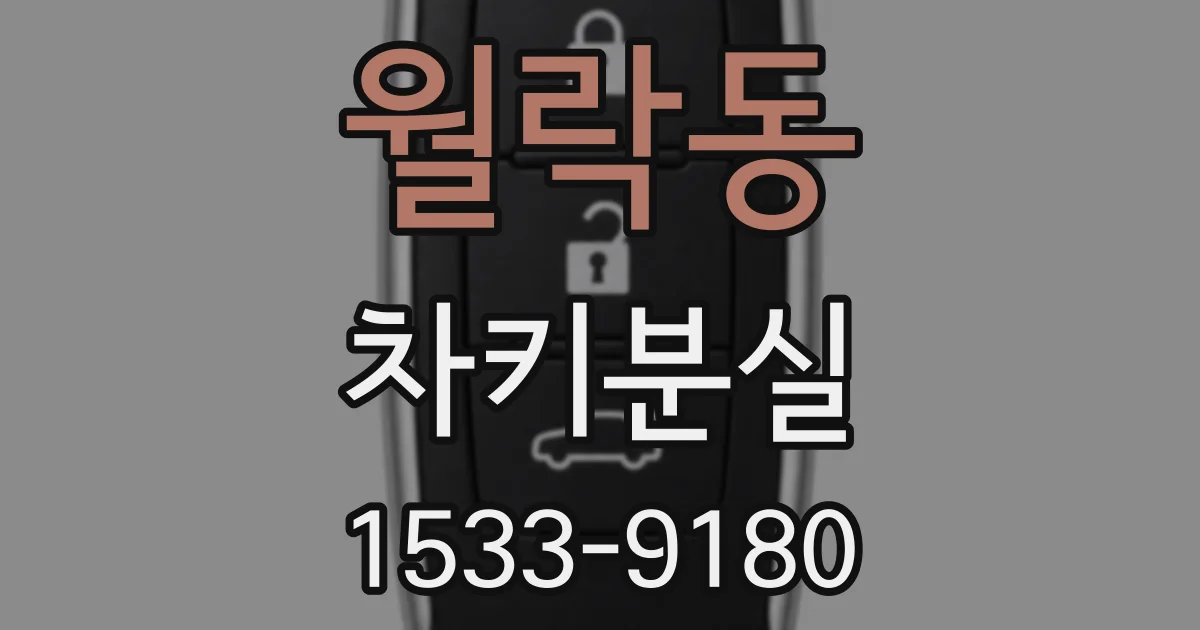 월락동 차키분실