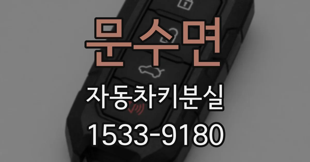 문수면 자동차키분실