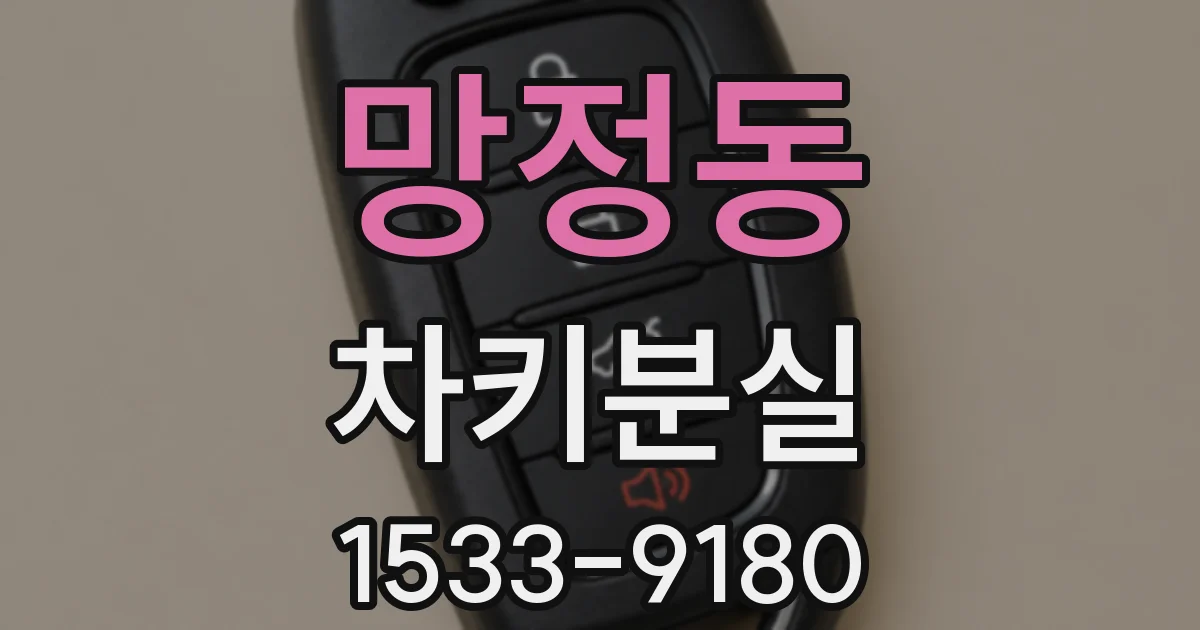 망정동 차키분실