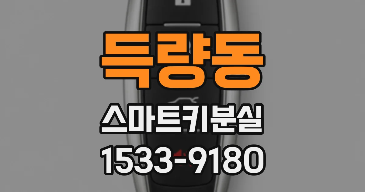 득량동 스마트키분실
