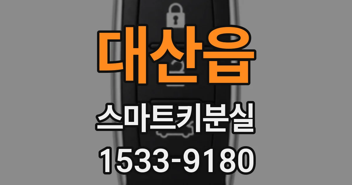 대산읍 스마트키분실