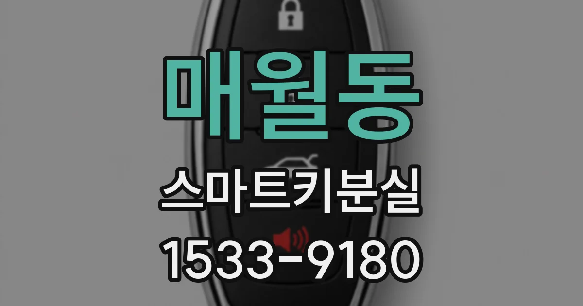 매월동 스마트키분실