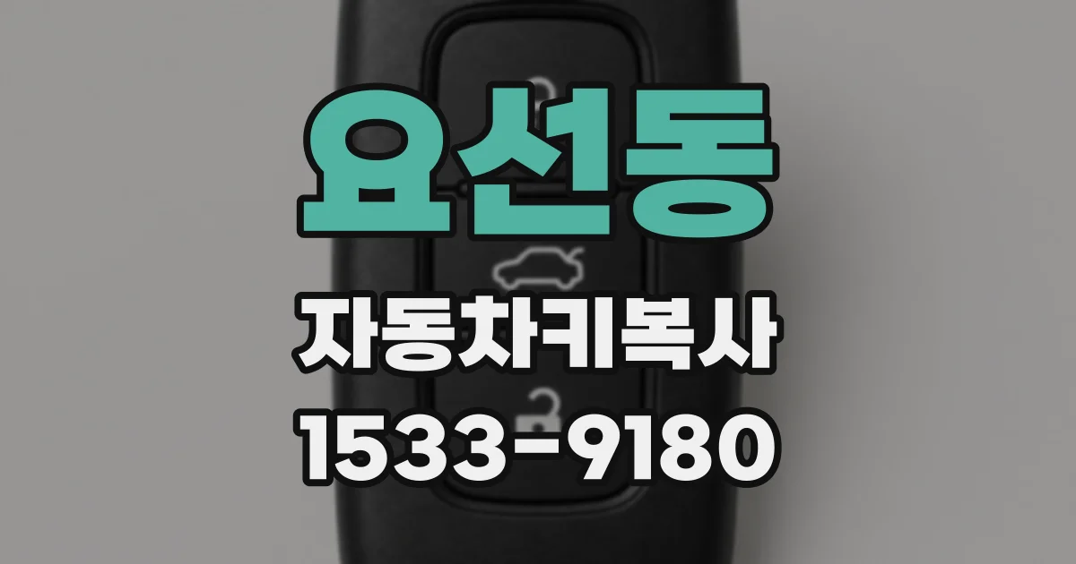 요선동 자동차키복사