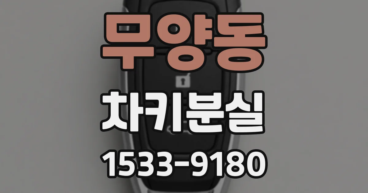 무양동 차키분실