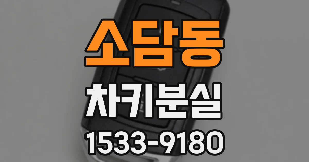 소담동 차키분실