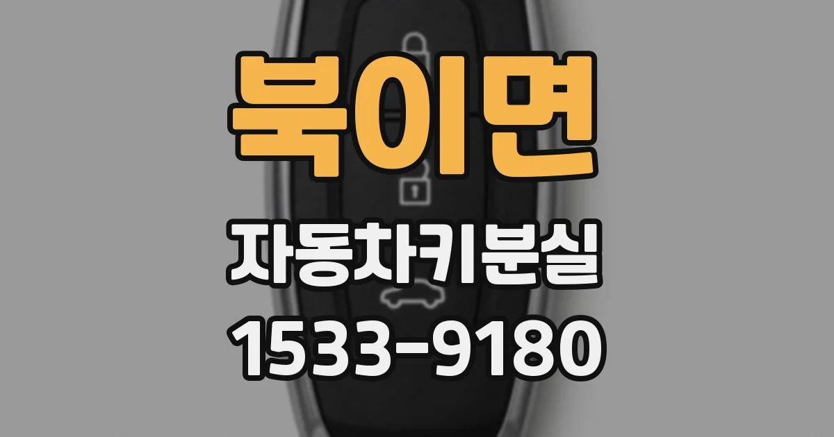 북이면 자동차키분실