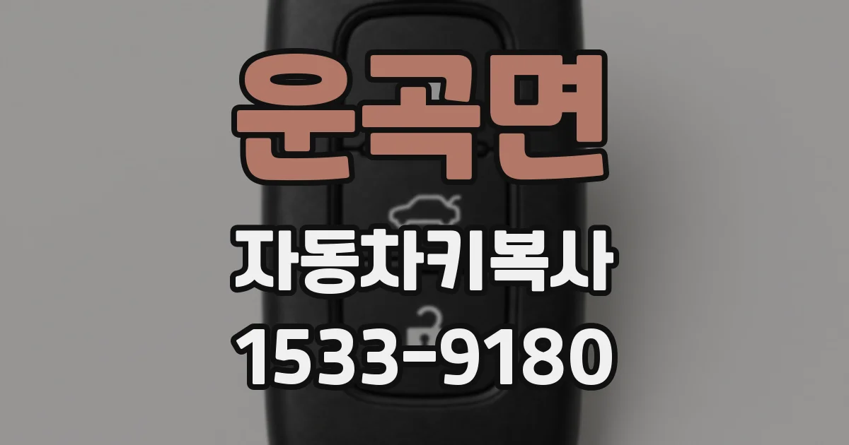 운곡면 자동차키복사
