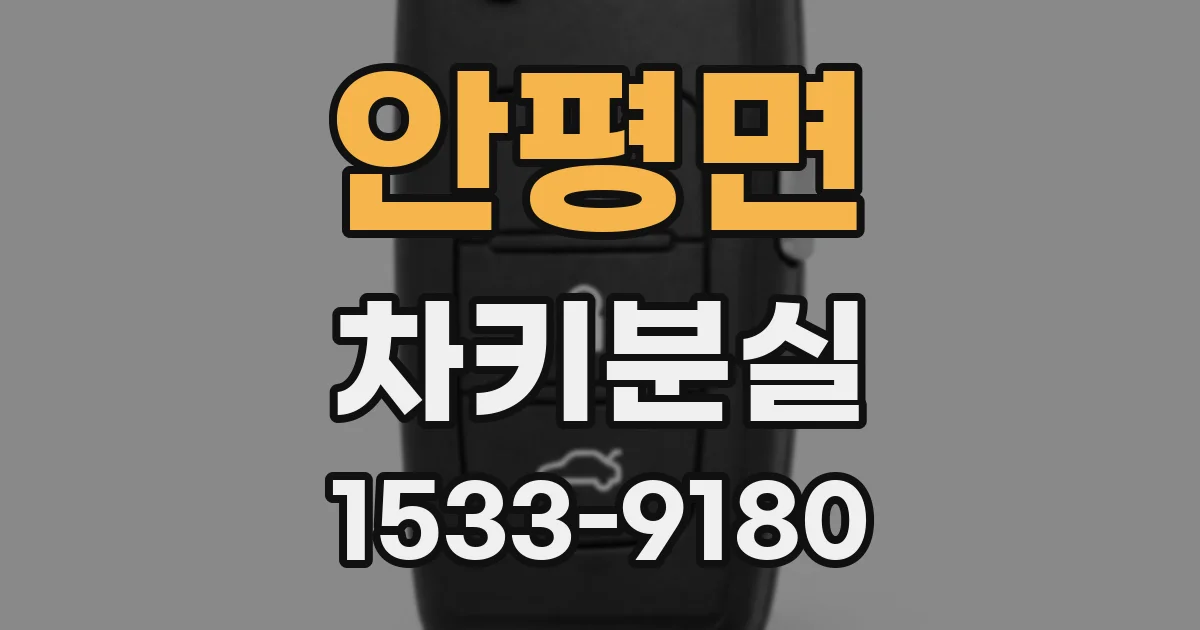 안평면 차키분실