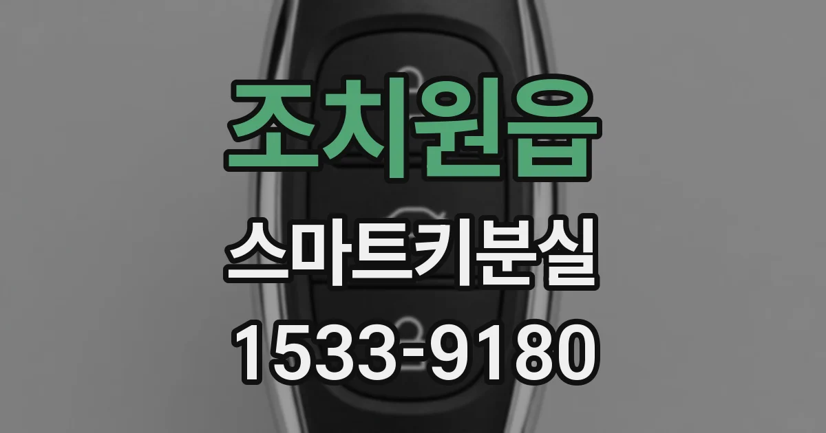 조치원읍 스마트키분실
