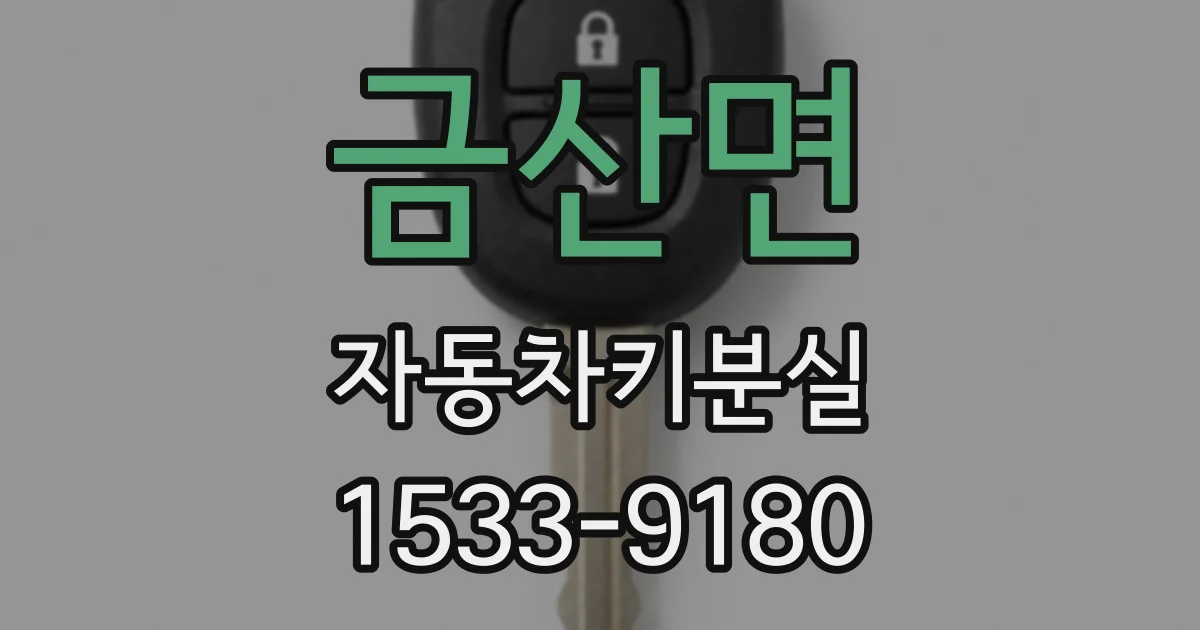 금산면 자동차키분실
