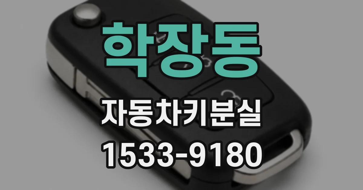학장동 자동차키분실