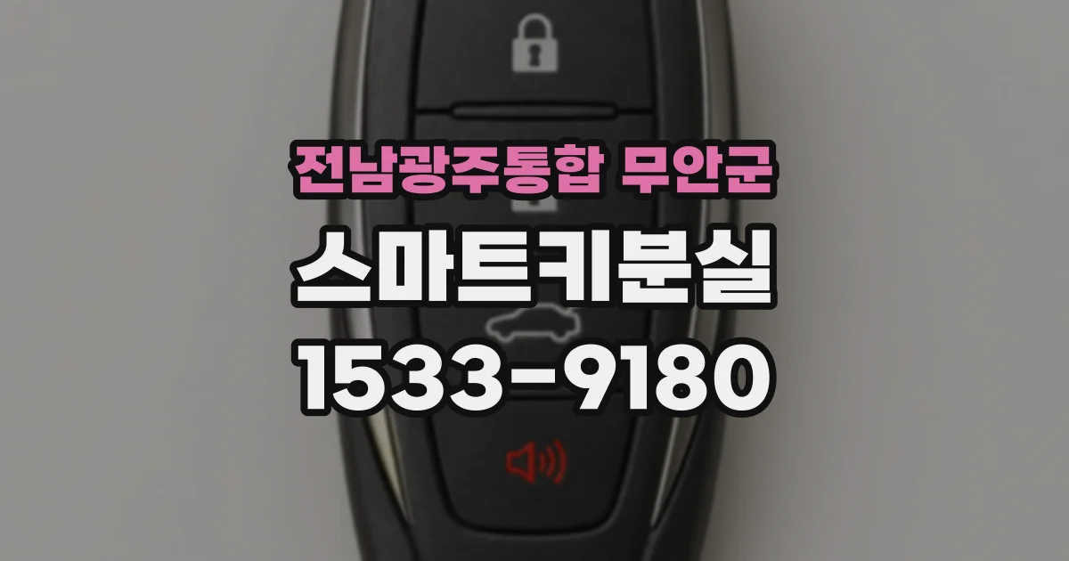 전남광주통합 무안군 스마트키분실