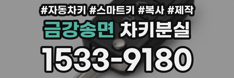 금강송면 차키분실