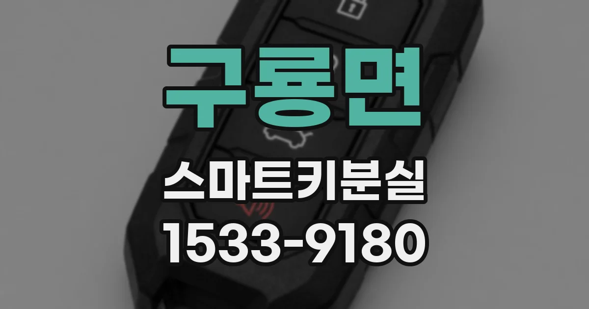 구룡면 스마트키분실