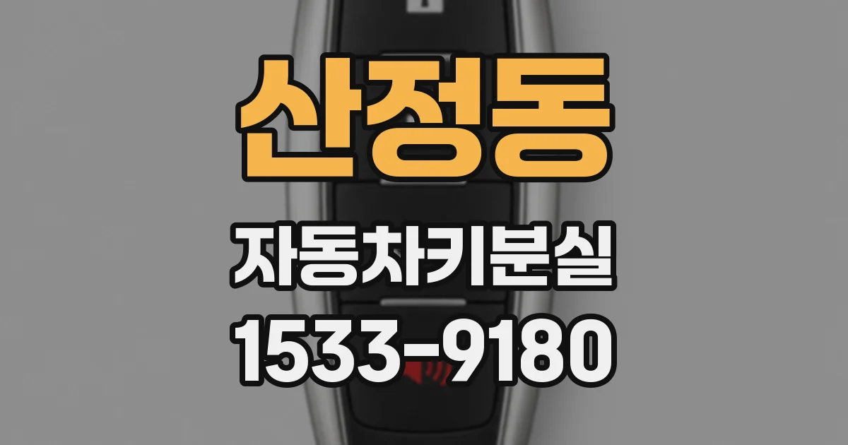 산정동 자동차키분실