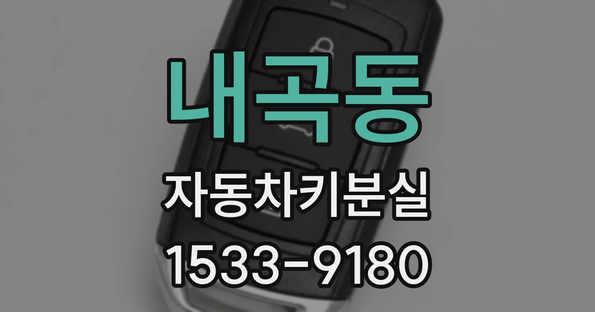 내곡동 자동차키분실