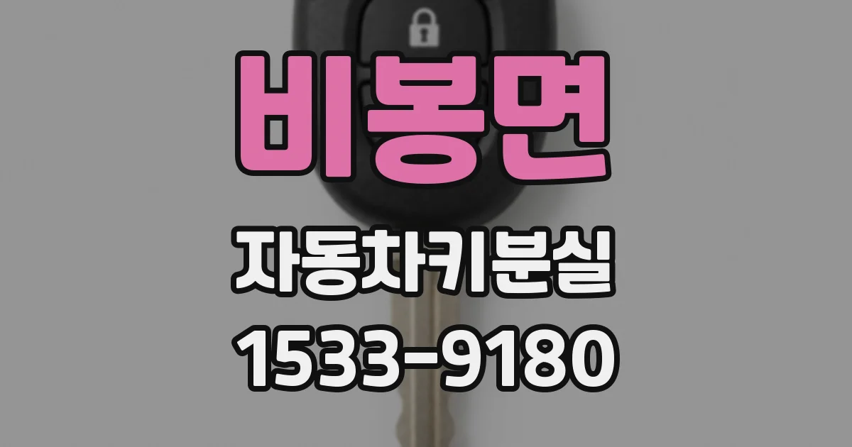 비봉면 자동차키분실