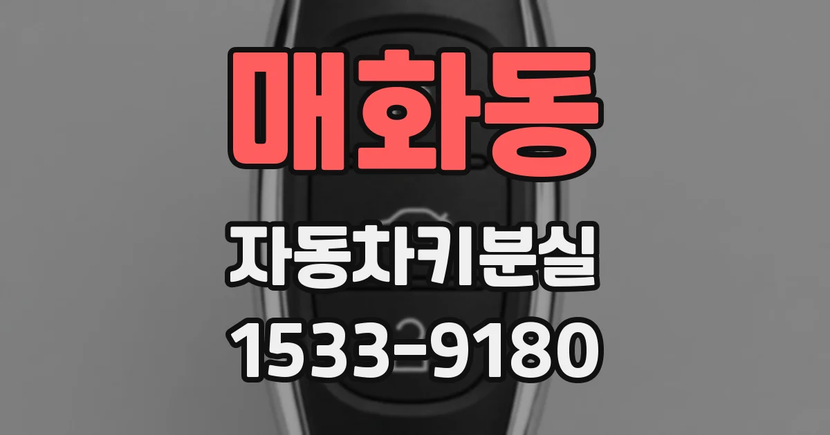 매화동 자동차키분실