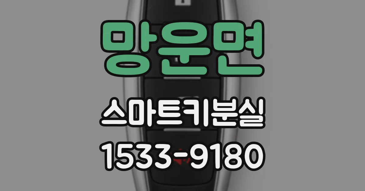 망운면 스마트키분실