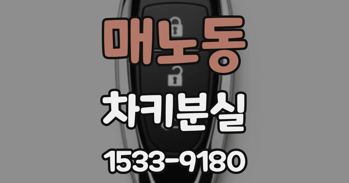 매노동 차키분실