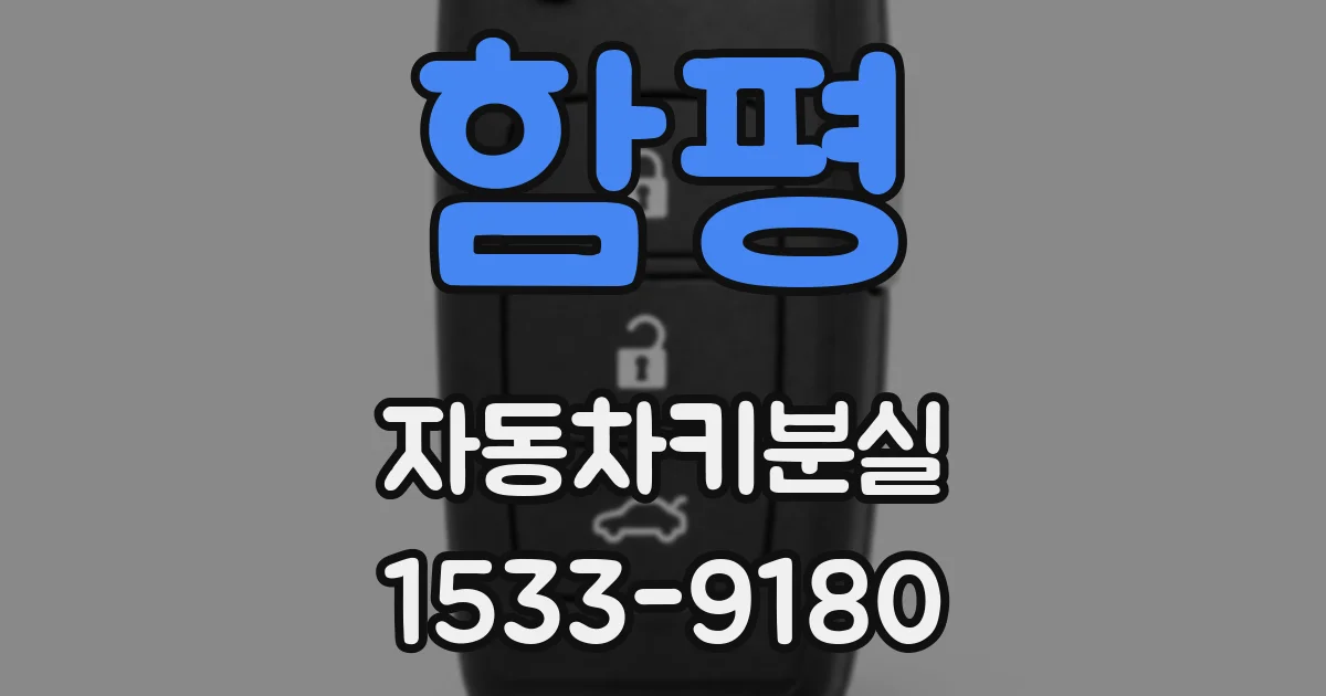 함평 자동차키분실