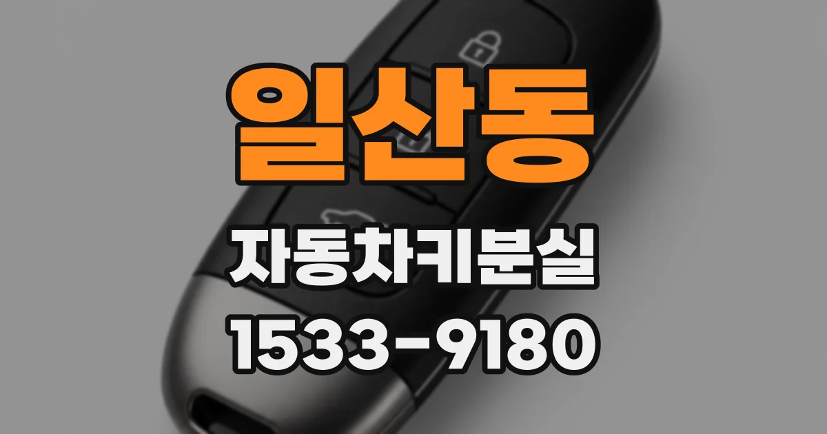 일산동 자동차키분실