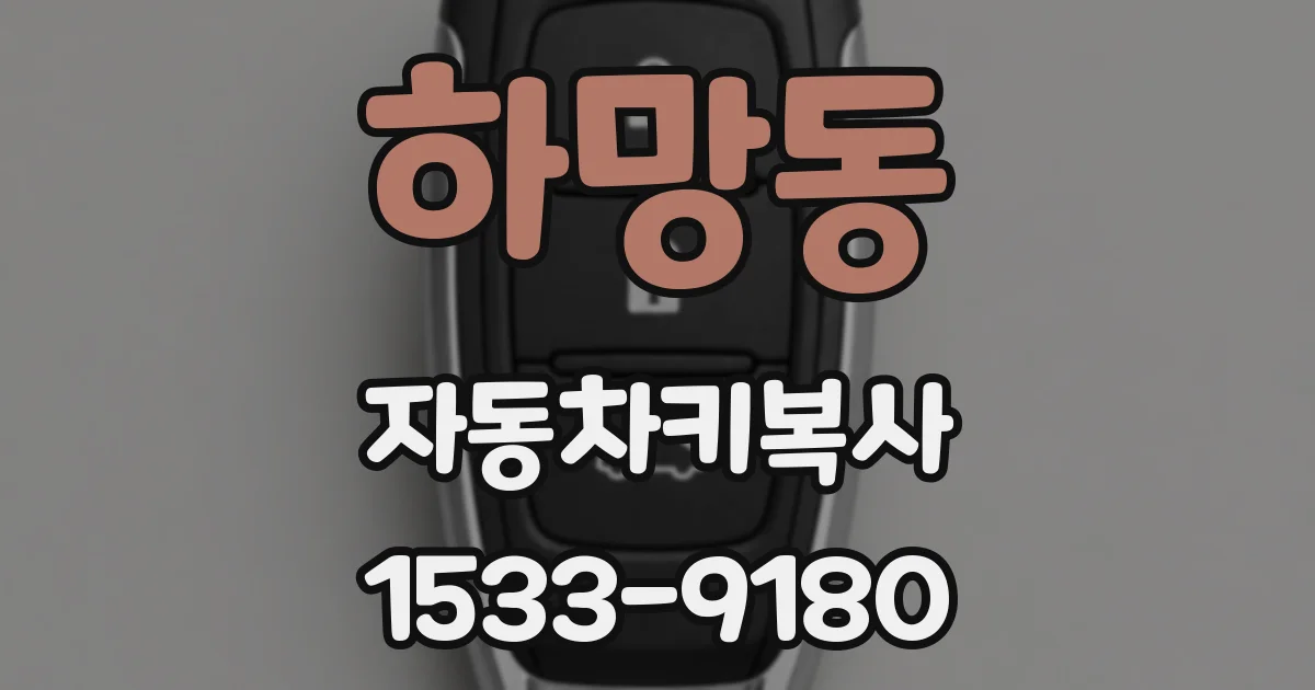 하망동 자동차키복사