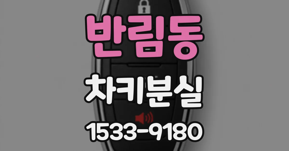 반림동 차키분실