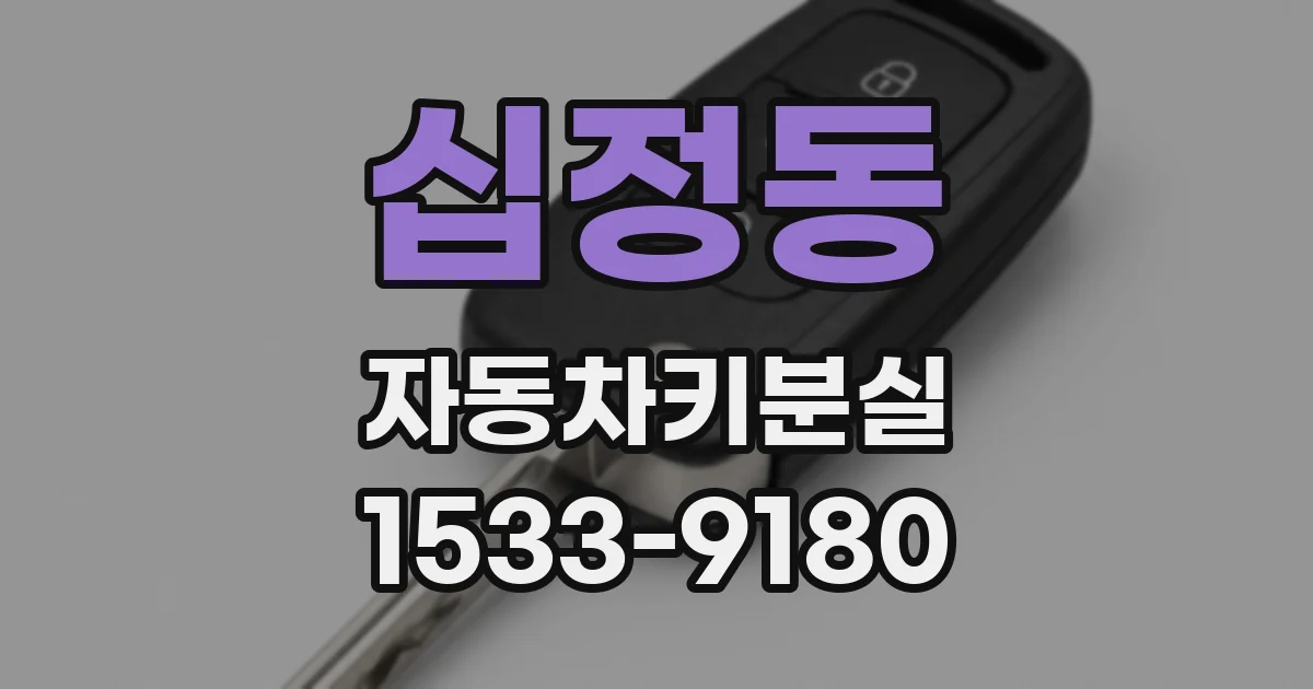 십정동 자동차키분실