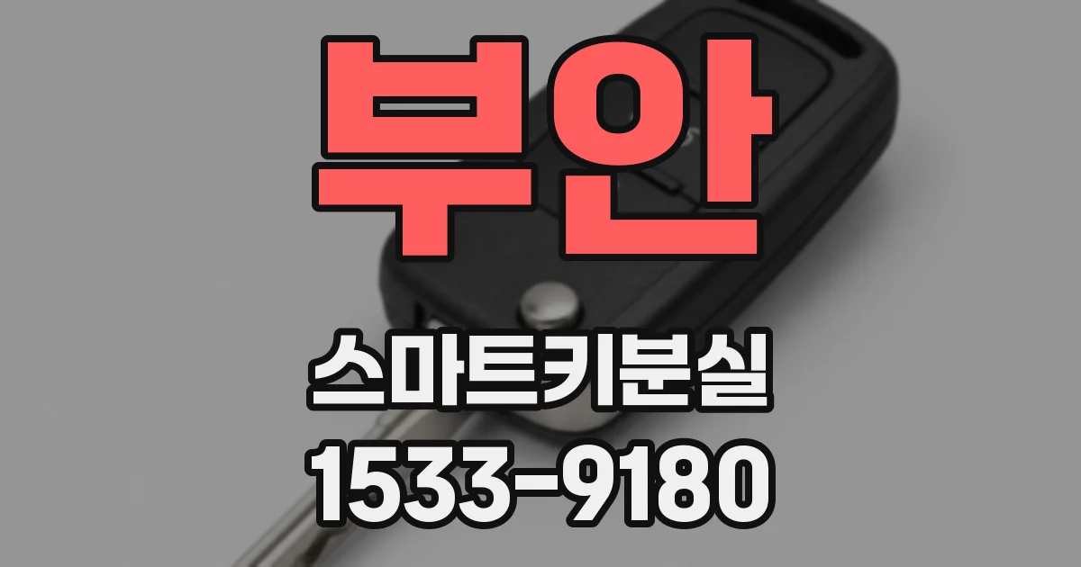 부안 스마트키분실