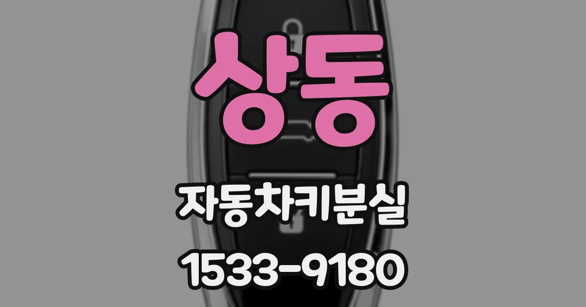 상동 자동차키분실