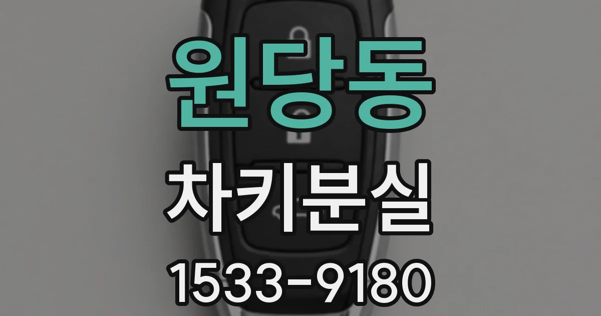 원당동 차키분실