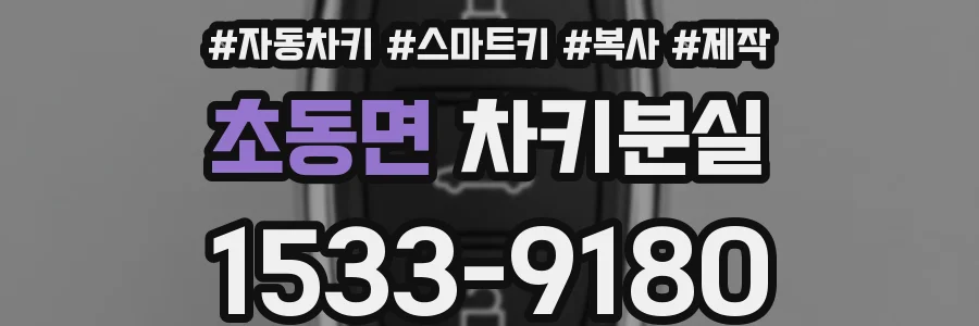 초동면 차키분실