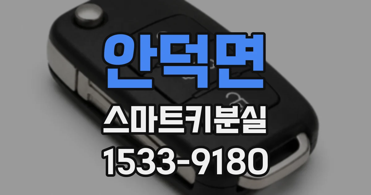 안덕면 스마트키분실