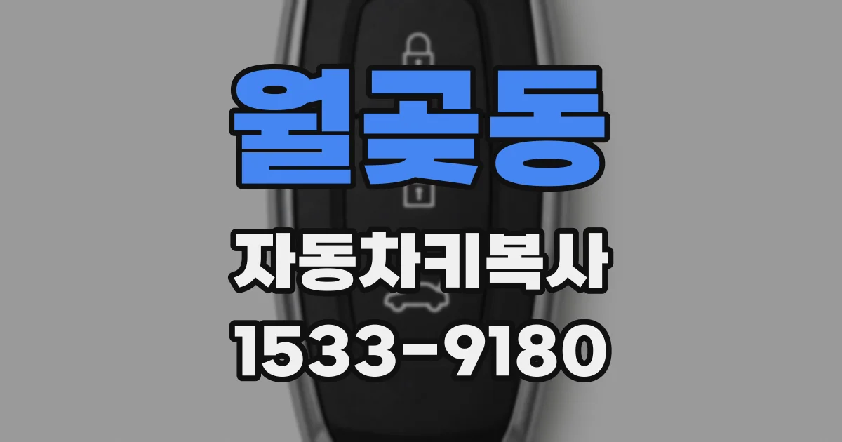월곶동 자동차키복사