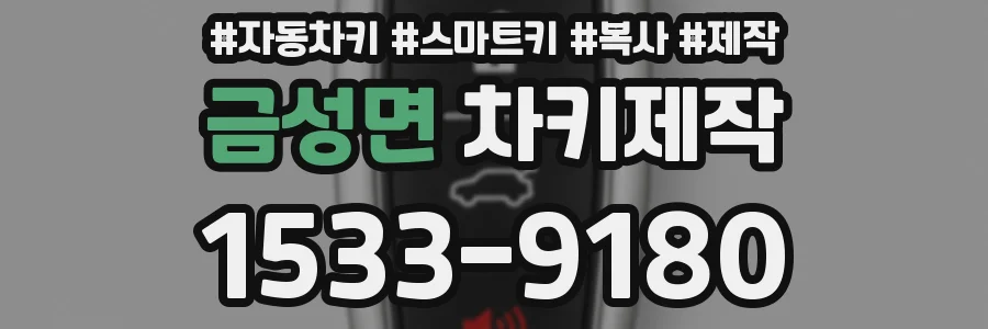 금성면 차키제작