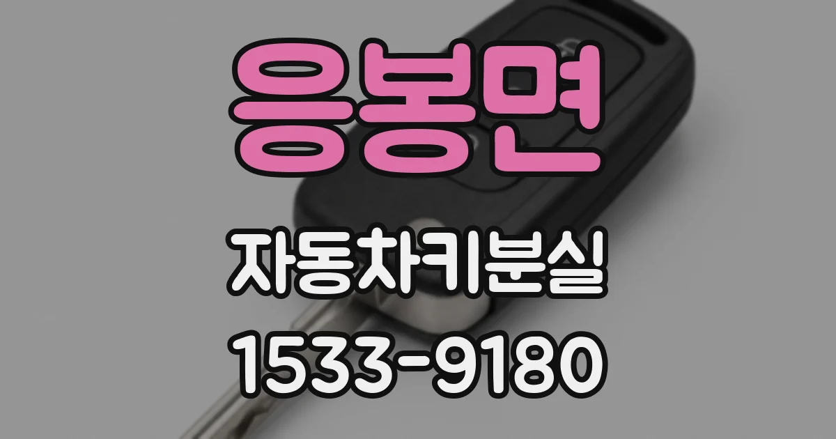 응봉면 자동차키분실