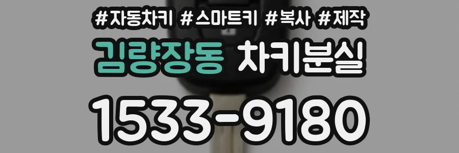 김량장동 차키분실
