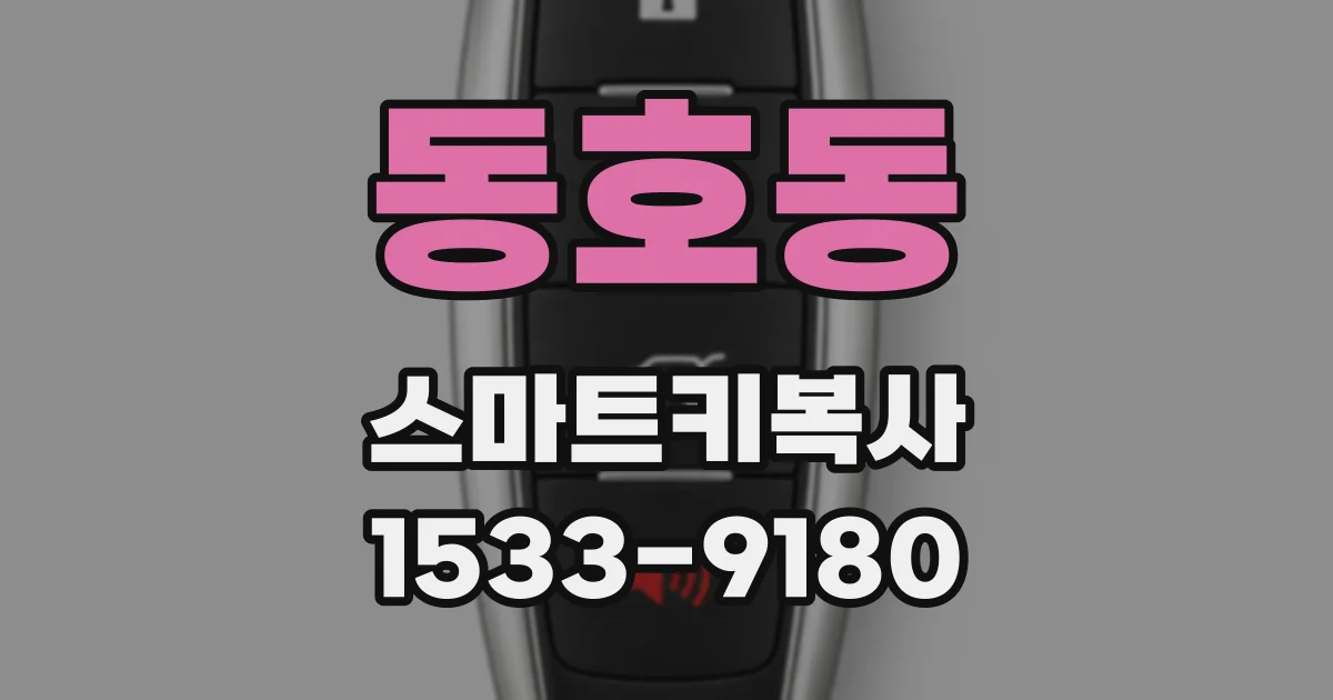 동호동 스마트키복사