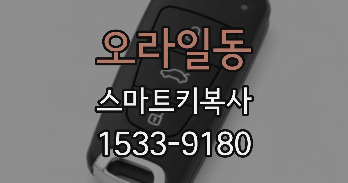 오라일동 스마트키복사