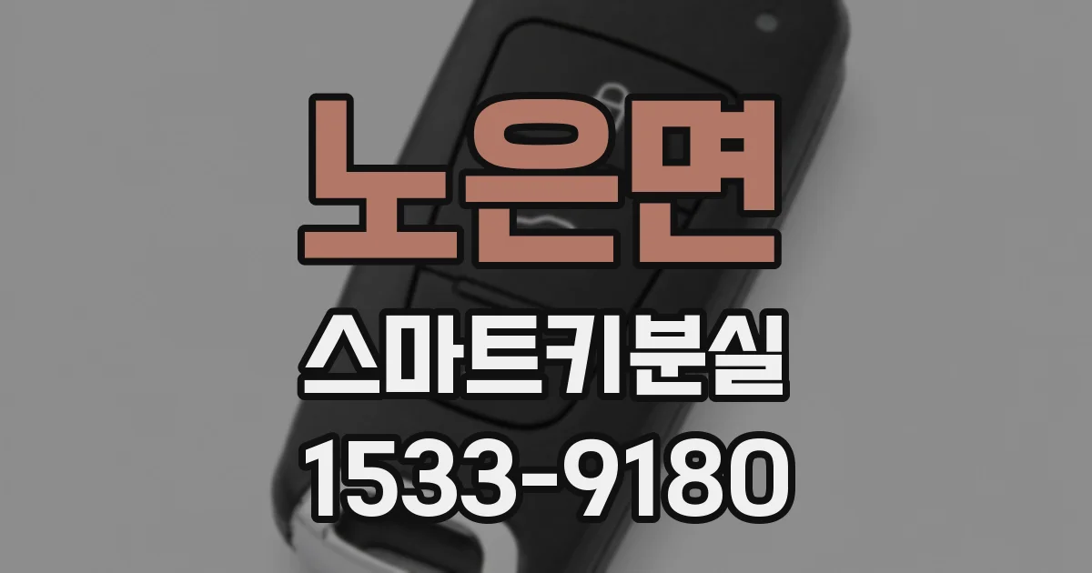 노은면 스마트키분실