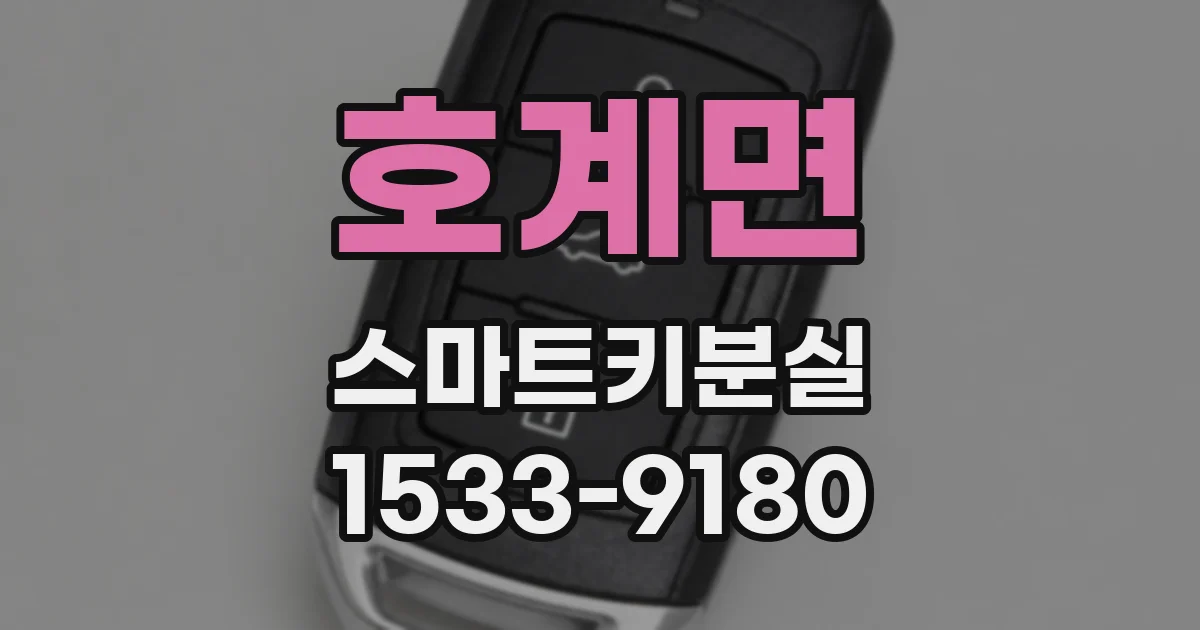 호계면 스마트키분실